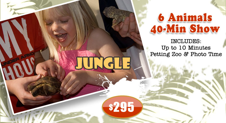 LA JUNGLE