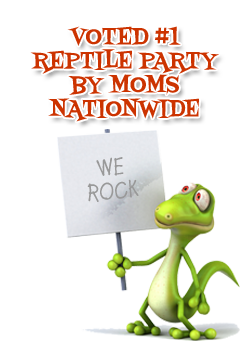 we rock